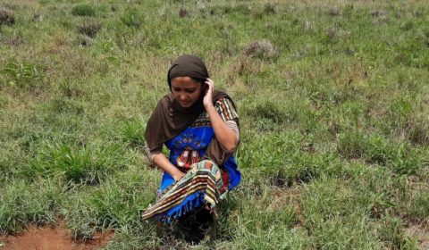 Exclusive – COP27’s Solutions Day with Fazeela Mubarak