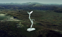 Exclusive – Why Thijs Biersteker is taking his work to COP15