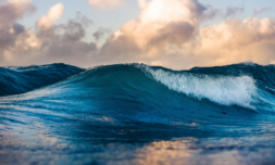 UN finalises the High Seas Treaty after two decades of negotiations