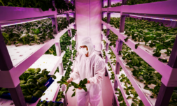 Is the vertical farming bubble popping already?