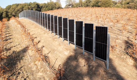 Could Sunzaun solar panels be the future of green energy?