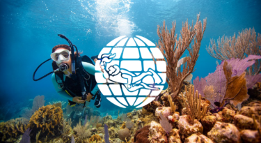 PADI PADI