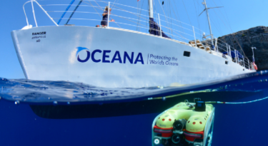 Oceana Oceana
