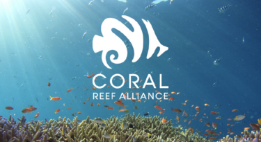 Coral Reef Alliance Coral Reef Alliance
