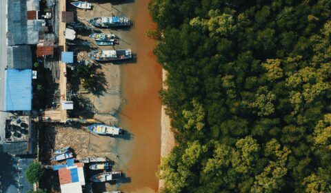 Why are ecosystems in west India vanishing?