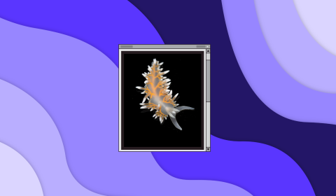 deep sea discoveries + male friendship histories