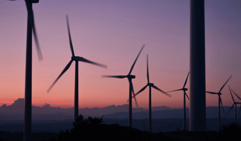Danish company Ørsted cancels big UK windfarm project