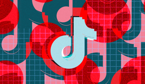 TikTok blocks ‘skinnytok’ hashtag to curb harmful content