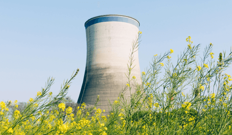 Sizewell C nuclear plant to receive £14 billion in UK funding